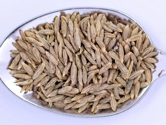 Close-up of whole cumin (jeera) seeds piled on a metal spoon.