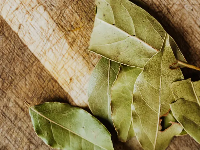 Dried bay leaves arranged on a wooden chopping board.