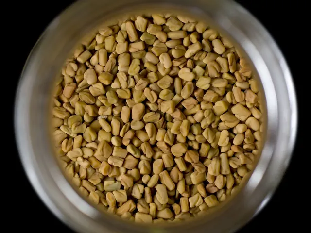 Golden fenugreek seeds viewed from above in a container.