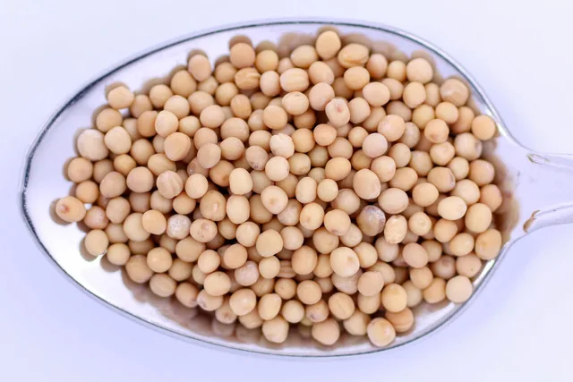 Pale yellow mustard seeds piled in a metal spoon.
