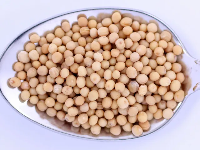 Pale yellow mustard seeds piled in a metal spoon.