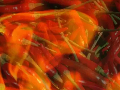 Red and green chillies