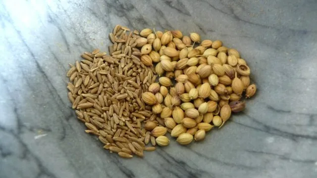 Curry Cooking Tips: 1 Dhania & Jeera Powder