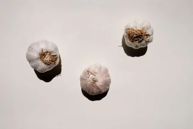 Three whole garlic bulbs on a pale surface.