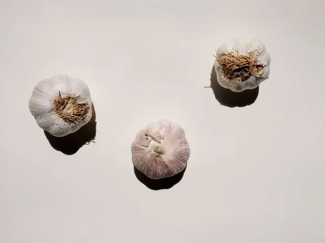 Three whole garlic bulbs on a pale surface.