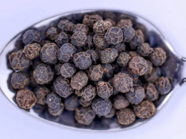 Whole black peppercorns in a metal spoon.