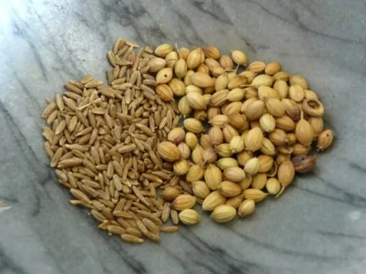 Whole cumin and coriander seeds