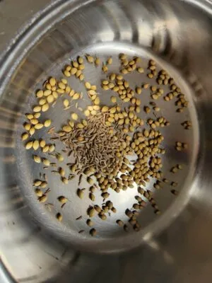 Whole spices in a pan for chicken tikka masala