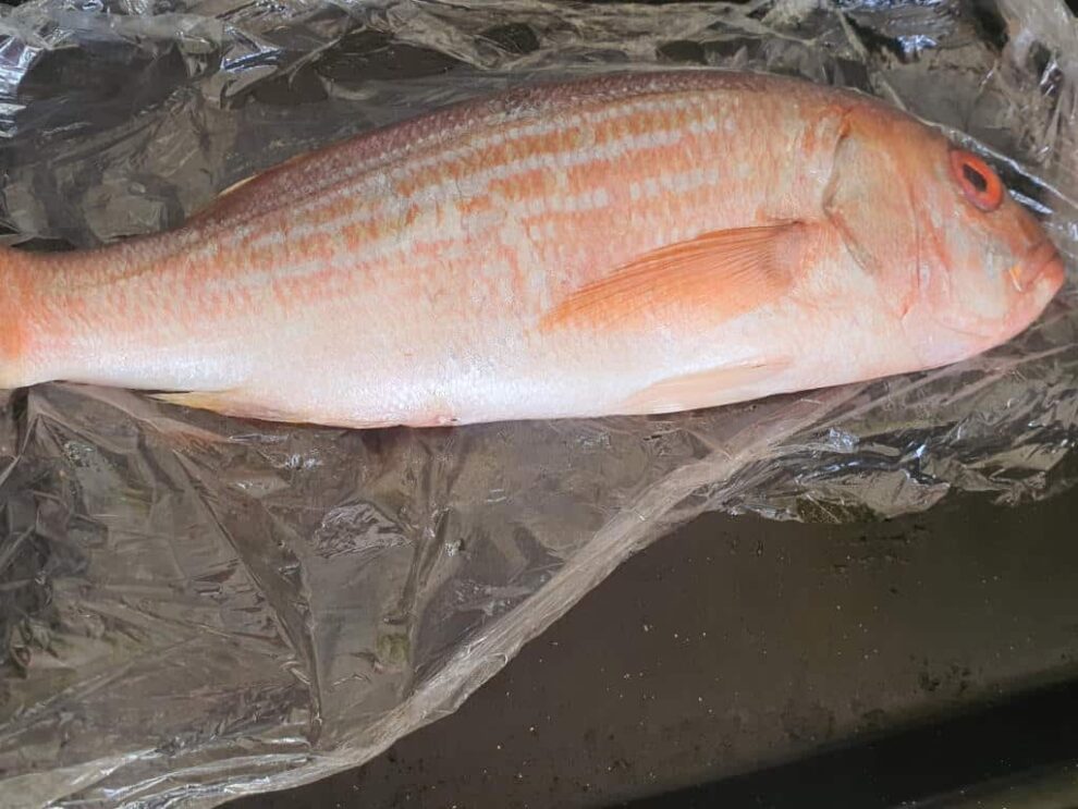 Durban Fish Curry with Tamarind - Durban Curry Recipes