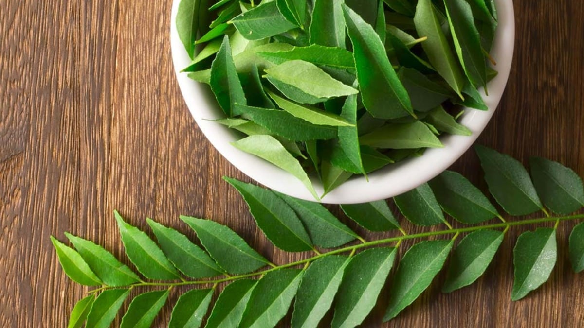How To Store Fresh Curry Leaves Durban Curry Recipes