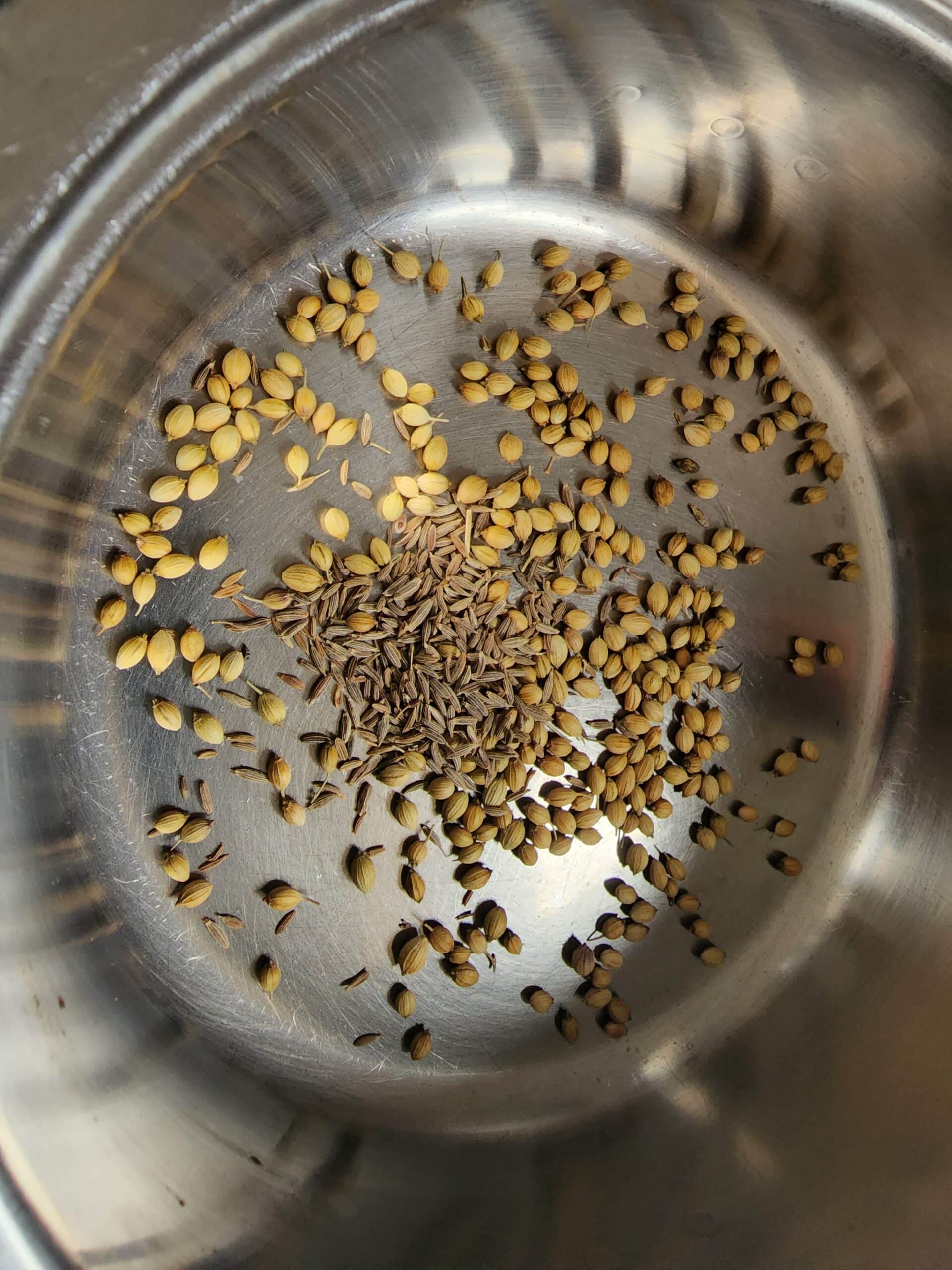 dhania and cumin seeds tasted